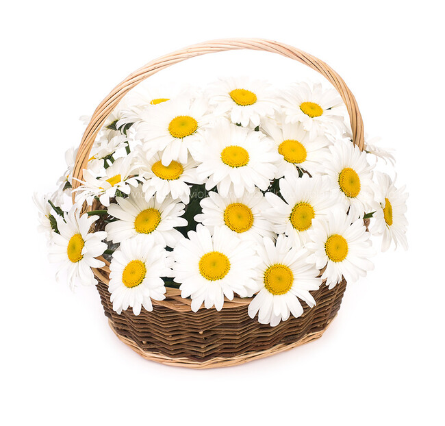 Корзина с ромашками